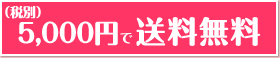 プリシラウィッグ15％オフ ウィッグ通販ショップ
