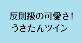 反則級の可愛さ！うさたんツイン