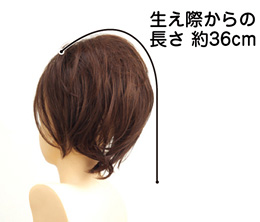 ボリュ巻きウィッグレディカワストレートVM-01【耐熱ファイバー】