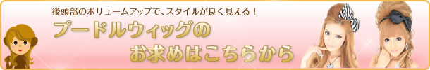 プードルウィッグ商品一覧へ