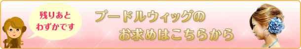 プードルウィッグファイバー商品へ