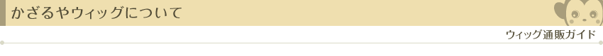かざるやウィッグについて