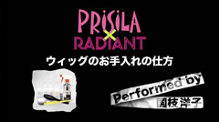 ウィッグのお手入れの仕方