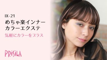 プリシラめちゃ楽インナーカラーエクステ IX-01