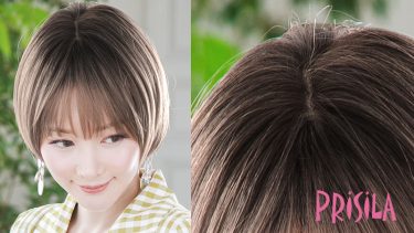 プリシラウィッグの特徴