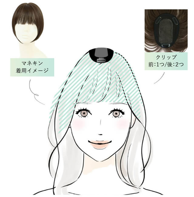 つむじあり前髪ウィッグ図解