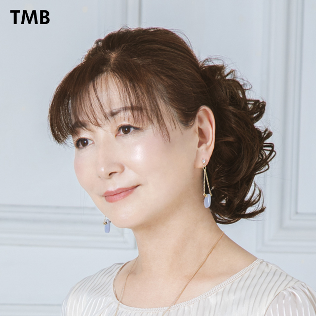 バレッタ付きポイントウィッグ